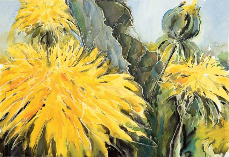blumenaquarelle christian burkhardt